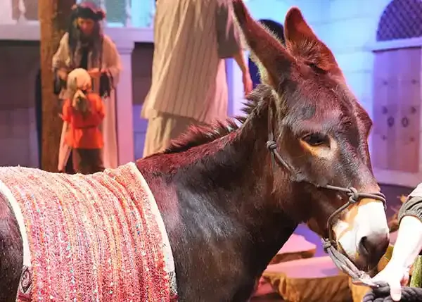 standard donkey